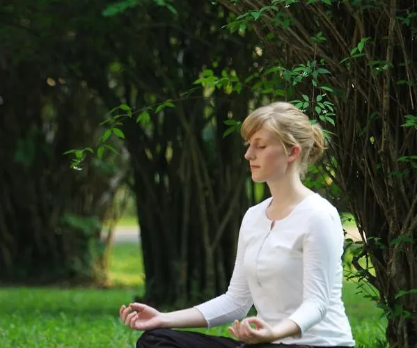 Naturbliss Mindfulness Retreat Center *