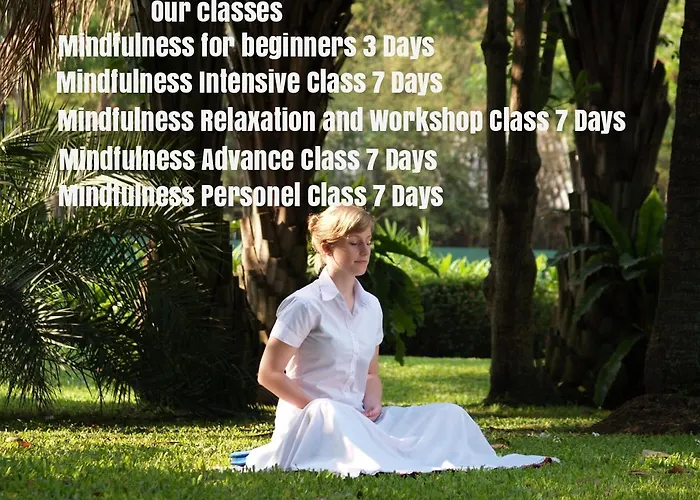 Vakantiepark Naturbliss Mindfulness Retreat Center