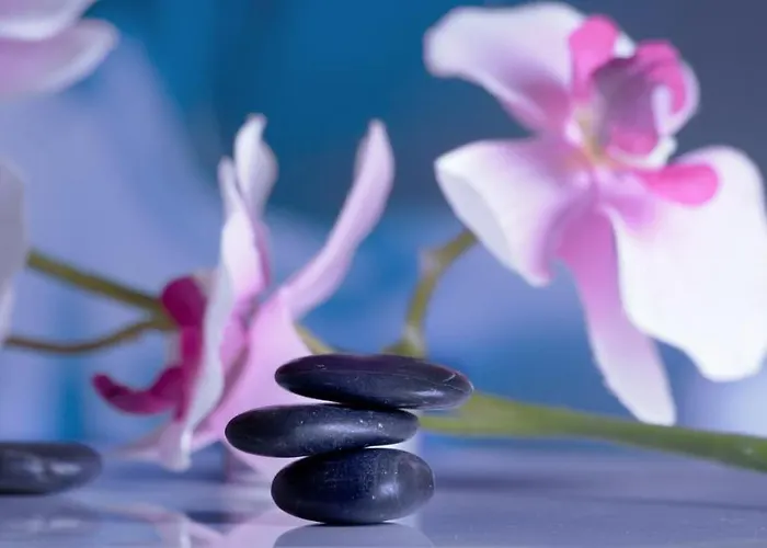 Naturbliss Mindfulness Retreat Center Bangkok